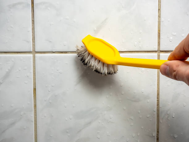 Reliable Chagrin Falls, OH Mold Removal Solutions