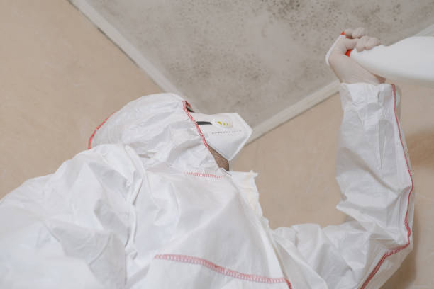 Best Emergency Mold Removal  in Chagrin Falls, OH
